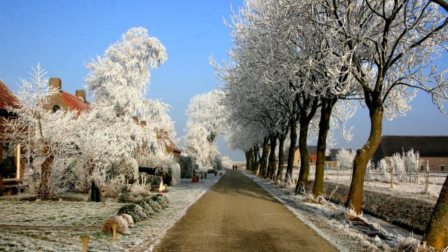 Tiengemeten winter