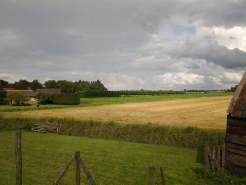 Zicht op een geoogst tarweveld, met een boomgaard met een regenboog erboven in de verte.