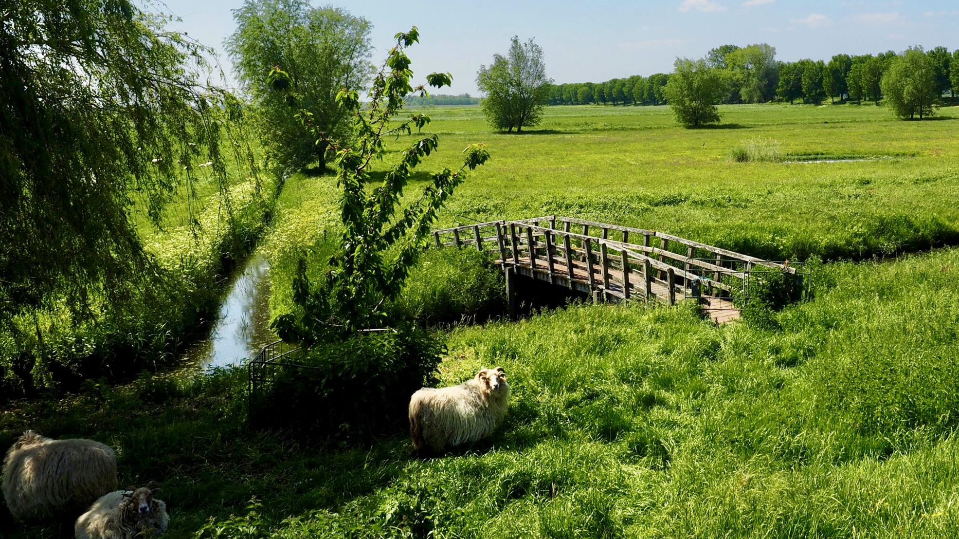 Hoeksche Waard binnen één generatie nieuwe IJsselmonde Omroep