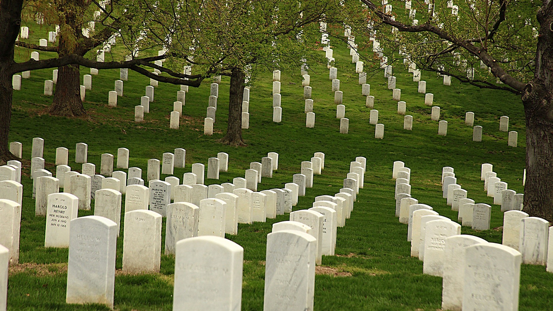 Gedicht: Herdenken – Omroep Hoeksche Waard