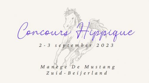 Paardenconcours 2-3 september