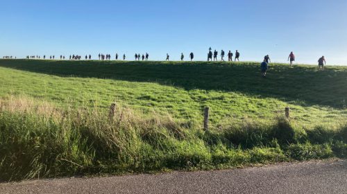 Inschrijving nog mogelijk voor Oeverloop Hoeksche Waard