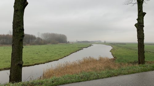 Giftig water