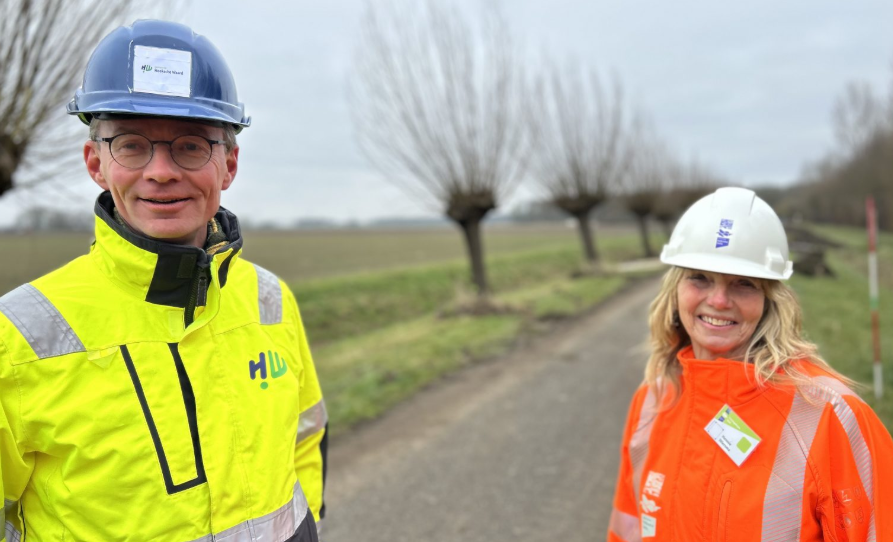 Tweede leven voor knotwilgen Zuid-Beijerland