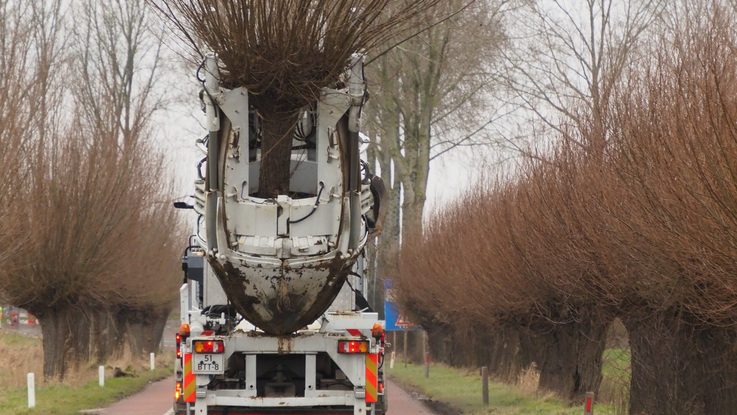 Water Natuurlijk geeft knotwilgen nieuwe een plek