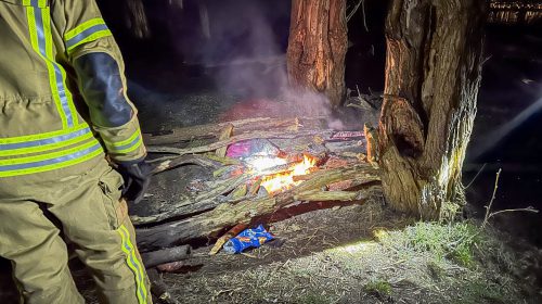 Tweede keer brandstichting in natuurgebied De Staart in Oud-Beijerland