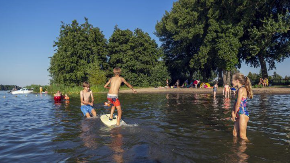 Blauwalg in Binnenmaas