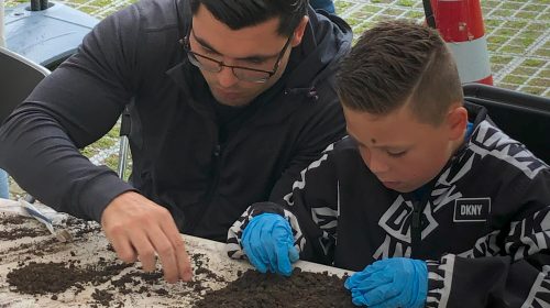 14 en 15 juni: Archeologiedagen bij Museum Hoeksche Waard