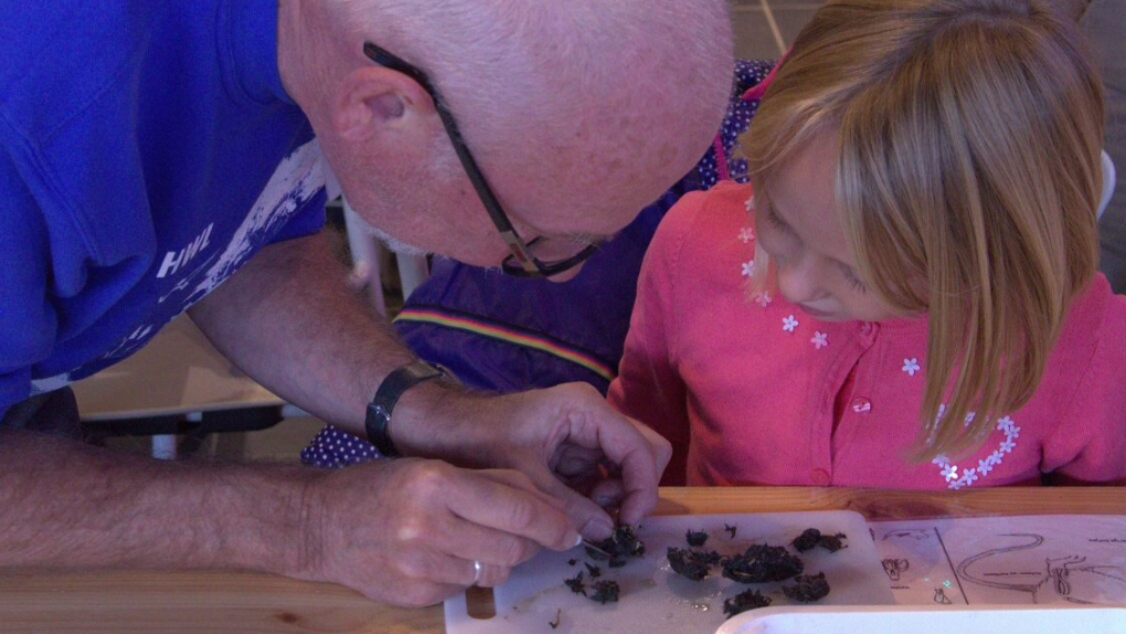 4 en 29 juni: Kom braakballen pluizen voor plezier en wetenschap.