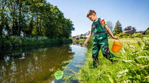 Waterschap Hollandse Delta ligt op koers en sluit 2024 af met positief resultaat