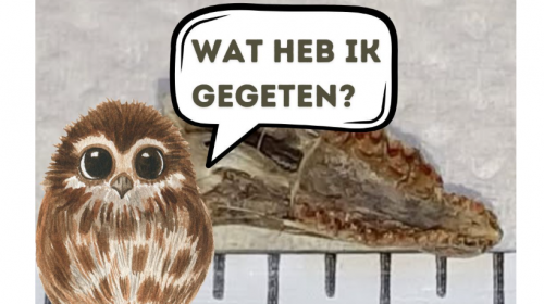 Pluizen voor plezier en wetenschap