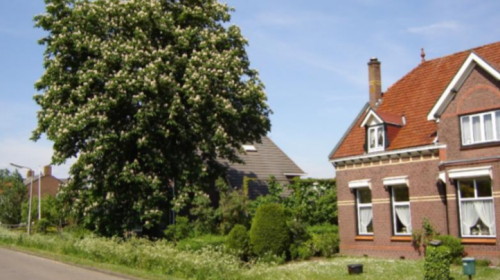 Strijen, het groene dorp langs de keen