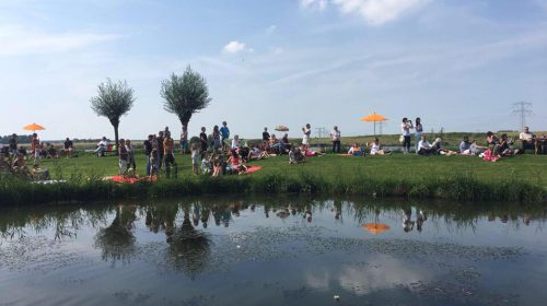 Bram Roza Festival
