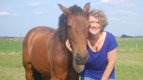 Tweede inspiratiedag ‘Schrijven met paarden’ op 14 september