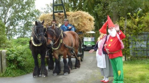 15 jaar Landbouwmuseum op Tiengemeten.