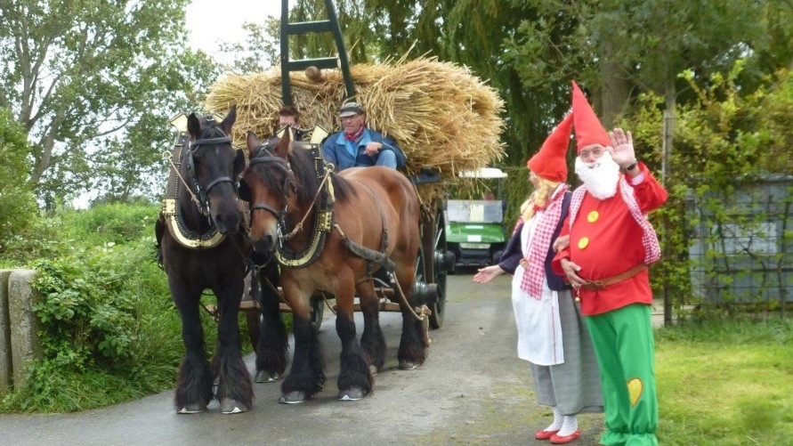 15 jaar Landbouwmuseum op Tiengemeten.