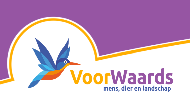 VoorWaards onaangenaam verrast: wethouder wuift klachten over lange Wmo-wachttijden weg
