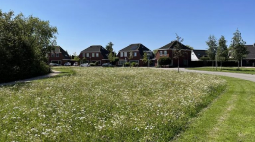 Groenonderhoud met oog voor de natuur