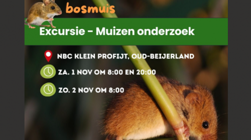 Ga je mee muizen tellen rondom NBC Klein Profijt?