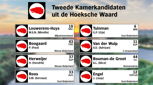 Deze Tweede Kamerkandidaten wonen in de Hoeksche Waard