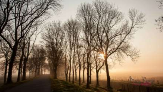 Expositie ‘De vier jaargetijden’ Mary Romijn in Museum Land van Strijen