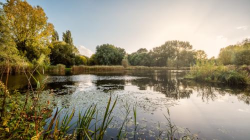 Waterschap investeert 130 miljoen in veilige en leefbare regio