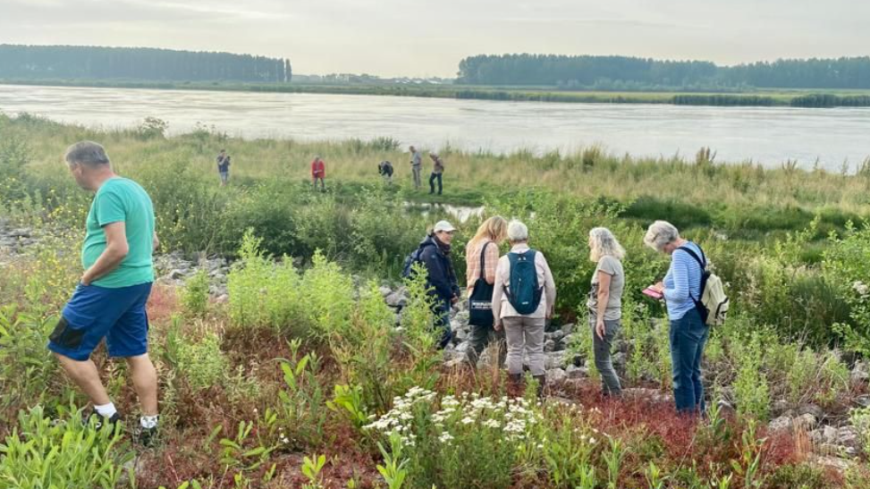Dinsdag 30 december: Eindejaars plantenjacht Zuid-Beijerland